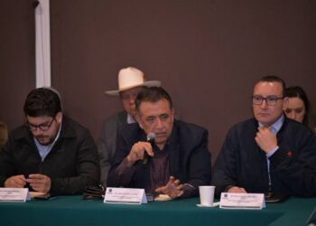 Borrador Automático