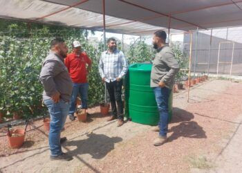 Juez Vincula A Proceso A Empleado Del Imss Por Robo De Insumos Médicos En Hospital De Charo