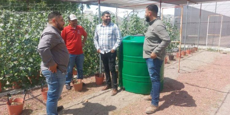 Juez Vincula A Proceso A Empleado Del Imss Por Robo De Insumos Médicos En Hospital De Charo