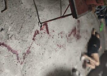 Borrador Automático