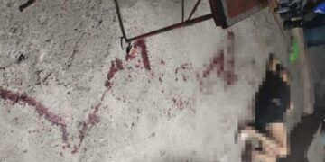 Borrador Automático