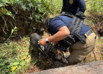 5 Cateos En Mega Operativo Deja 3 Detenidos; Aseguran Armas De Alto Poder Y Una Extorsión Millonaria En La Zona