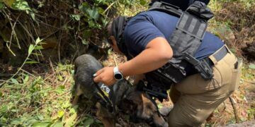 5 Cateos En Mega Operativo Deja 3 Detenidos; Aseguran Armas De Alto Poder Y Una Extorsión Millonaria En La Zona