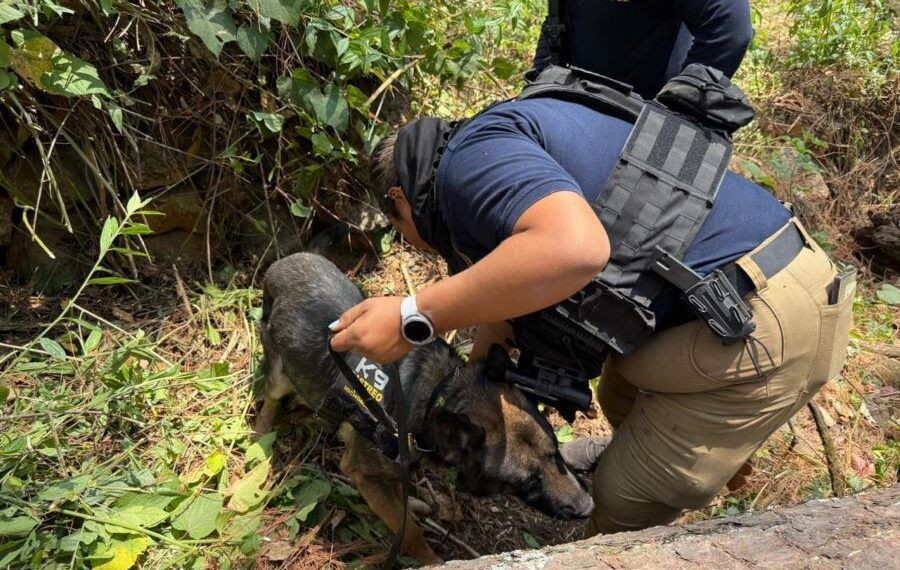 Fiscalia Localiza Restos Humanos En Una Huerta De Ziracuaretiro - El Día De Michoacán