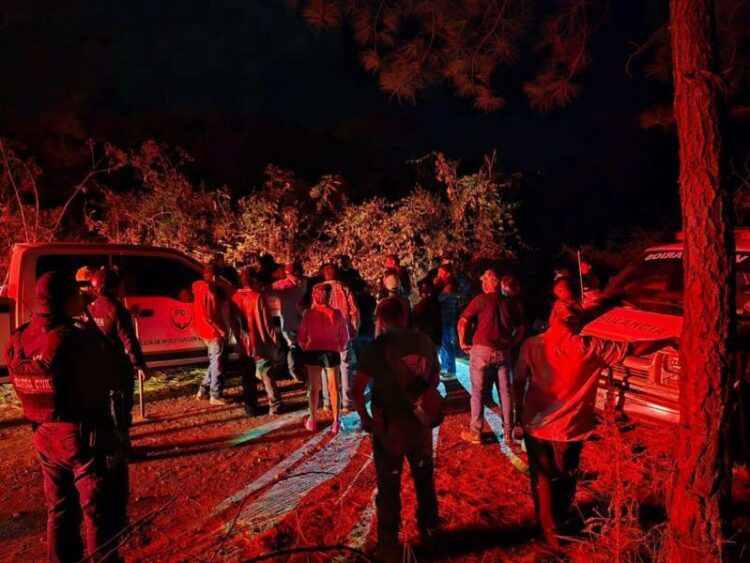 Mueren Dos Brigadistas Al Combatir Incendio Forestal En Tacambaro - El Día De Michoacán