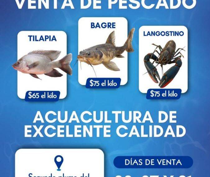 5 CATEOS en Mega Operativo deja 3 detenidos; Aseguran ARMAS DE ALTO PODER y una EXTORSIÓN MILLONARIA en la zona