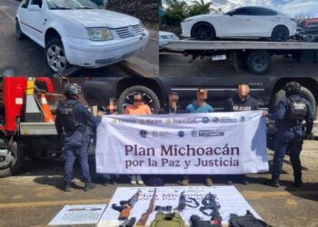 Michoacán Contra La Rabia, Pero Persiste El Reto Ético De La Cobertura Universal