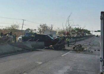 Michoacán Contra La Rabia, Pero Persiste El Reto Ético De La Cobertura Universal