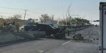 Michoacán Contra La Rabia, Pero Persiste El Reto Ético De La Cobertura Universal