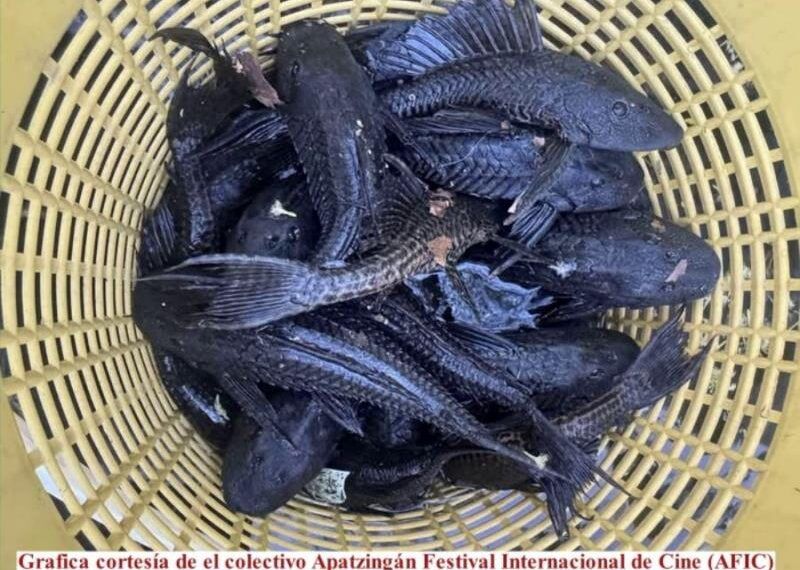 La FGE capacita a Defensa y Guardia Nacional en Apatzingán con protocolos que evitan abusos