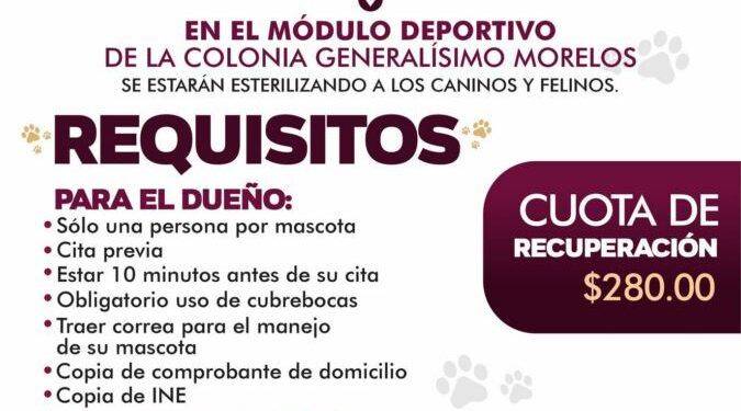 Recibe la CEDH un total de 8 mil 523 dibujos de niñas y niños de todo el Estado para participar en el concurso Ilumina tus derechos