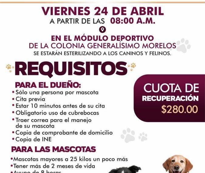 Recibe la CEDH un total de 8 mil 523 dibujos de niñas y niños de todo el Estado para participar en el concurso Ilumina tus derechos