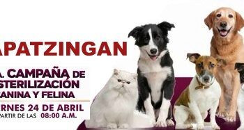 Recibe La Cedh Un Total De 8 Mil 523 Dibujos De Niñas Y Niños De Todo El Estado Para Participar En El Concurso Ilumina Tus Derechos