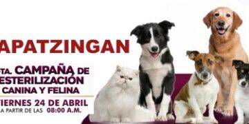 13 Recibe La Cedh Un Total De 8 Mil 523 Dibujos De Niñas Y Niños De Todo El Estado Para Participar En El Concurso Ilumina Tus Derechos