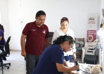 Presidenta De Buenavista Impulsa Campaña Gratuita De Esterilización En La Ruana