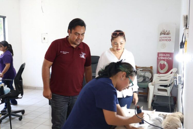 Irma Moreno Impulsa Campana Gratuita De Esterilizacion En La Ruana 1 - El Día De Michoacán