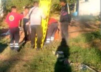 Muere Campesino Electrocutado Mientras Cortaba Tamarindo En Múgica