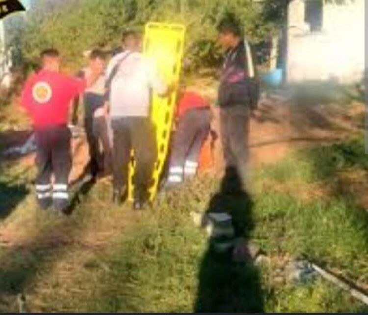 Muere Campesino Electrocutado Mientras Cortaba Tamarindo En Mugica - El Día De Michoacán