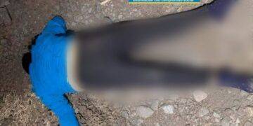 Muere Campesino Electrocutado Mientras Cortaba Tamarindo En Múgica