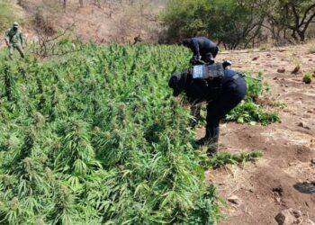 Raúl Morón Se Posiciona Como El Eje De Unidad Para La Clase Trabajadora De Michoacán