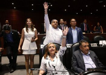 Michoacán Contra La Rabia, Pero Persiste El Reto Ético De La Cobertura Universal