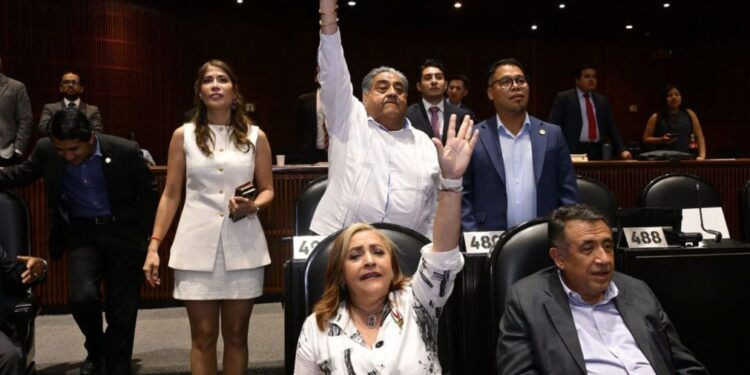 Michoacán Contra La Rabia, Pero Persiste El Reto Ético De La Cobertura Universal