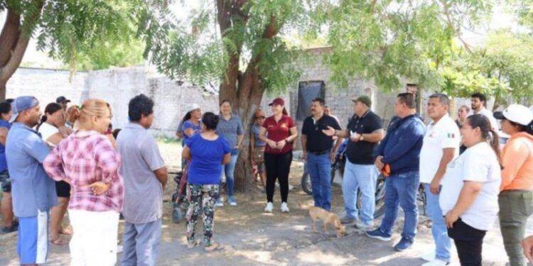 Muere Campesino Electrocutado Mientras Cortaba Tamarindo En Múgica