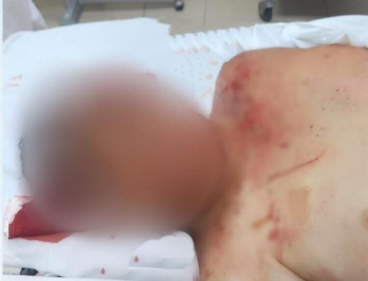 Comerciante De Aguacate En Las Ordenitas De Paracuaro - El Día De Michoacán