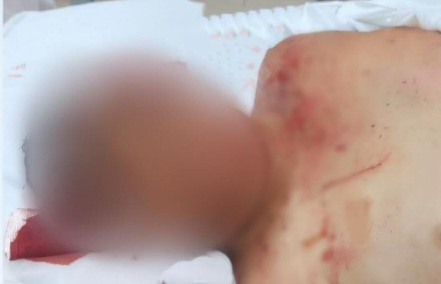 Comerciante De Aguacate En Las Ordenitas De Paracuaro - El Día De Michoacán