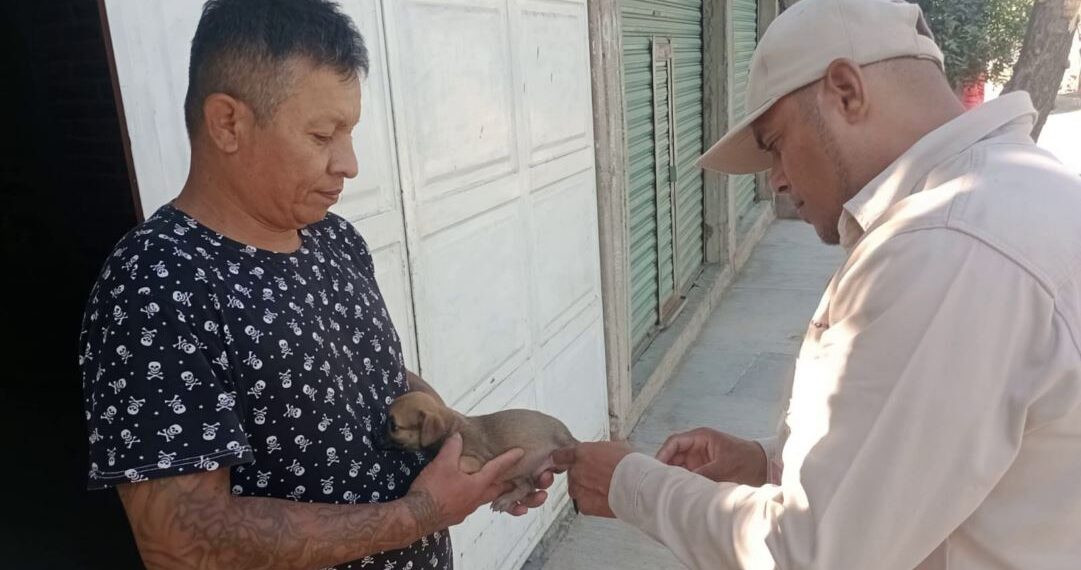 Michoacán Contra La Rabia, Pero Persiste El Reto Ético De La Cobertura Universal 19 Contra La Rabia - El Día De Michoacán