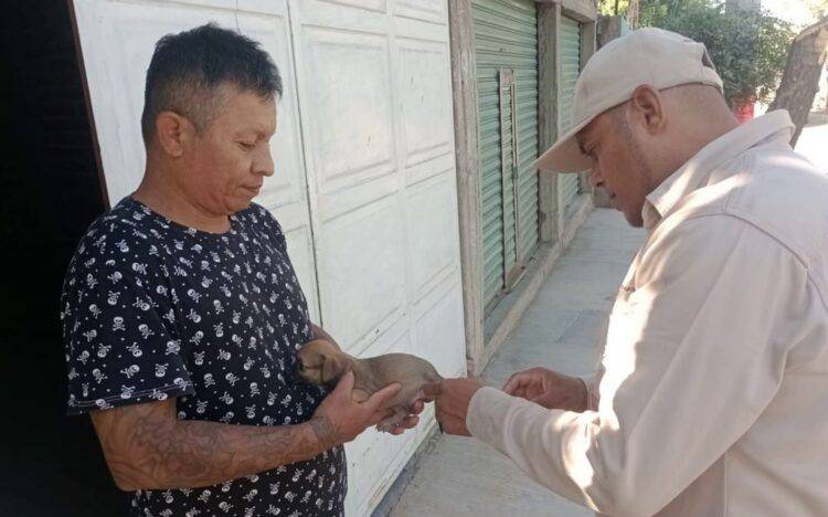 Contra La Rabia - El Día De Michoacán