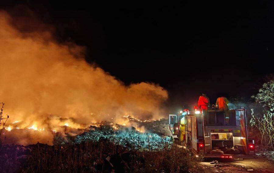 Presidenta de Buenavista Impulsa Campaña Gratuita de Esterilización en La Ruana