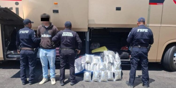 ¡Vino a Michoacán por mariguana y lo detienen con las manos en la masa! 1 ¡65 KILOS DE MARIGUANA EN SIMPLES MALETAS! Mujer fue capturada por los Guardianes del Camino en la Autopista de Occidente