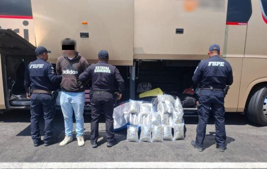 Vino A Comprar Mota A Michoacan - El Día De Michoacán