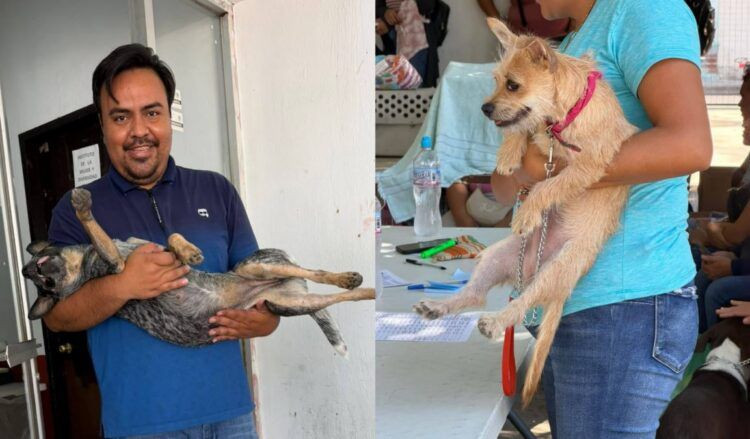 Campana De Esterilizacion Masiva En Buenavista - El Día De Michoacán