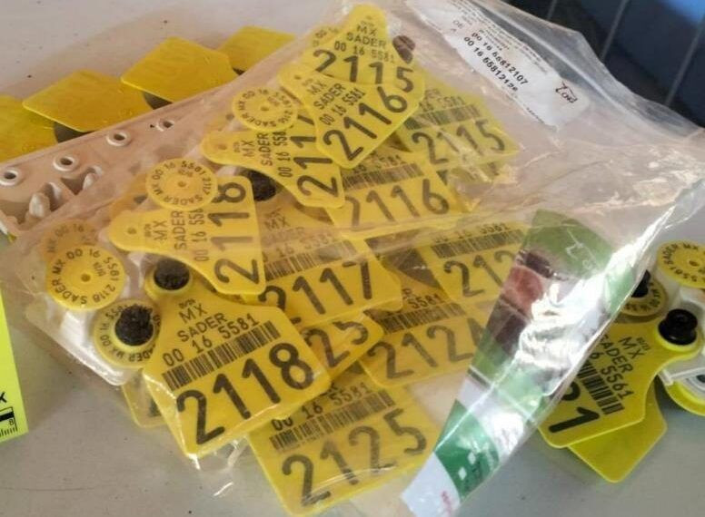 Decomisan Uniformes Militares en Narcotiendita de Zamora; detienen a Desertor del 17 batallón