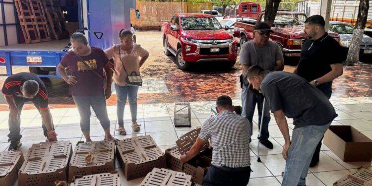 En procedimiento abreviado, sentencian a más de 11 años de prisión a un hombre responsable de violación cometida contra su prima