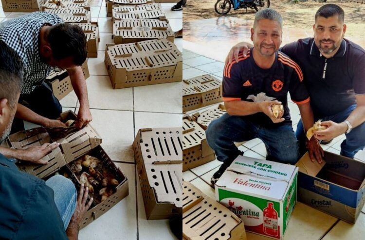 Francisco Aguilar Realiza 2Da Entrega De Pollitas Ponedoras 2 - El Día De Michoacán