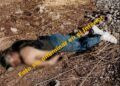 Hallazgo de cadáver semicalcinado y con evidencias de tortura en la Ruber Romero de Apatzingán 2 Hallazgo de cadáver semicalcinado y con evidencias de tortura en la Ruber Romero de Apatzingán