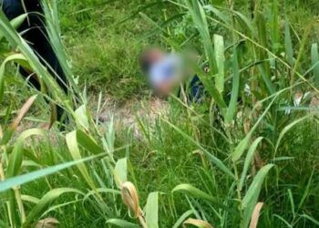 Mujer es devorada VIVA por jauría de perros salvajes 6 Mujer es devorada VIVA por jauría de perros salvajes