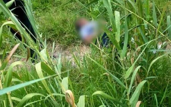 Mujer es devorada VIVA por jauría de perros salvajes