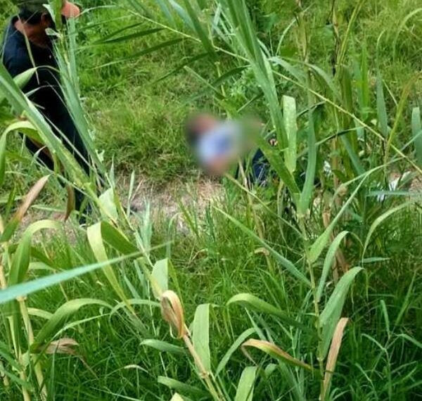 Mujer Es Devorada Viva Por Jauría De Perros Salvajes 1 Mujer Es Atacada Por Jauria De Perros En Uruapan - El Día De Michoacán