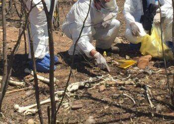 Sin Identidad Ni Causa De Muerte: Forenses Analizan Dos Osamentas Halladas En Narcofosa En Las Colonias  De Apatzingán