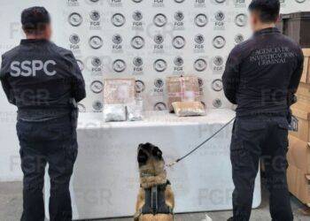 “SE CALLÓ EL JALE EN PAQUETERÍA”: FGR con autorización judicial asegura más de un kilo de marihuana en Morelia