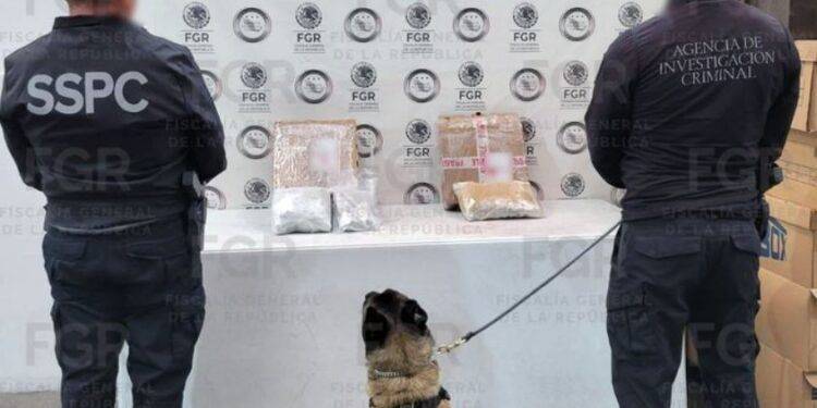 “SE CALLÓ EL JALE EN PAQUETERÍA”: FGR con autorización judicial asegura más de un kilo de marihuana en Morelia
