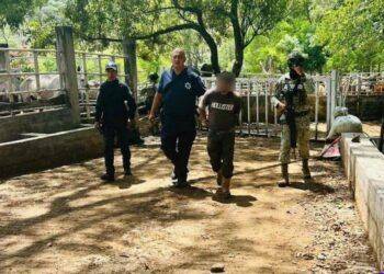 Ejército localiza e inhabilita narcocampamento en zona serrana de Cotija; aseguran explosivos y artefactos improvisados