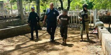 Ejército localiza e inhabilita narcocampamento en zona serrana de Cotija; aseguran explosivos y artefactos improvisados