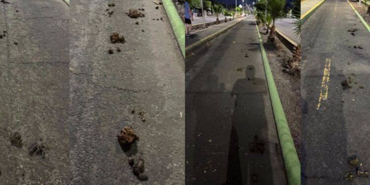 FGE incauta 83 tragamonedas bajo la sospecha de financiar a células delictivas en Madero