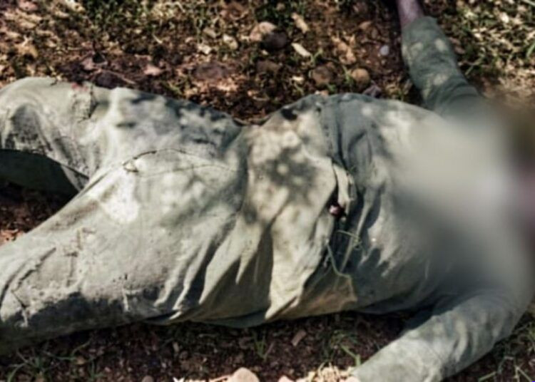 Enfrentamiento armado en Parácuaro deja un hombre sin vida; autoridades aseguran dos vehículos