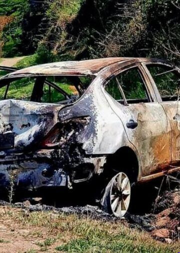 Fiscalía Despliega Operativos Sin Tregua: RESCATE DE 359 ANIMALES y 15 cateos en el primer semestre de 2026